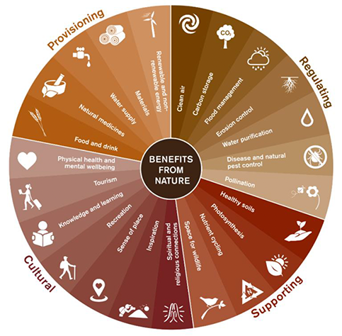 The Benefits from Nature Wheel shows the ecosystem services we gain from our terrestrial environment. 

Benefits from Nature

Provisioning 

Food and drink
Natural medicines
Water supply
Materials
Renewable and non-renewable energy

Regulating 

Clean air
Carbon storage
Flood management
Erosion control
Water purification
Disease and natural pest control
Pollination

Supporting

Healthy soils
Photosynthesis
Nutrient cycling
Space for wildlife

Cultural 

Spiritual and religious connections
Inspiration
Sense of place
Recreation
Knowledge and learning
Tourism
Physical health and mental wellbeing

