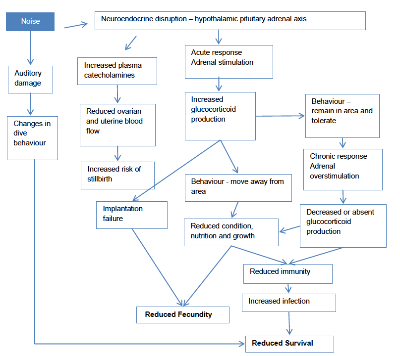 Figure 1. Potential pathways to effects on vital rates