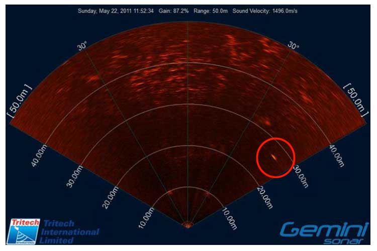 Figure 1: Sonar image of a detection that was classified as being a "highly probable marine mammal" (red circle). Taken from Hastie (2012).