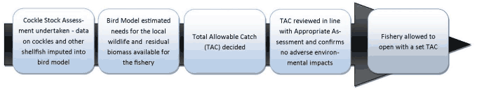 Figure 2: Current process for conducting the appropriate assessment to decide on a TAC and open the fishery