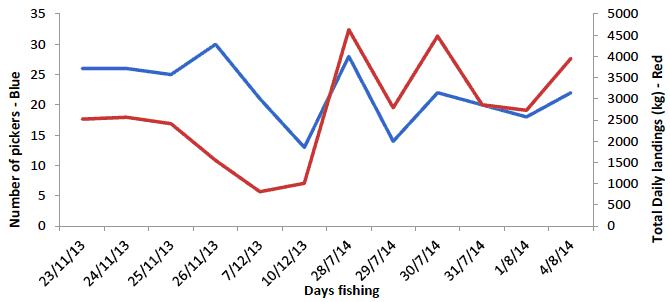 Figure 8: Number of pickers (blue) and total daily landings (red) on each main fishing day
