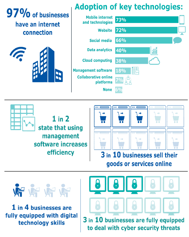 Digital Economy Business Survey 2017