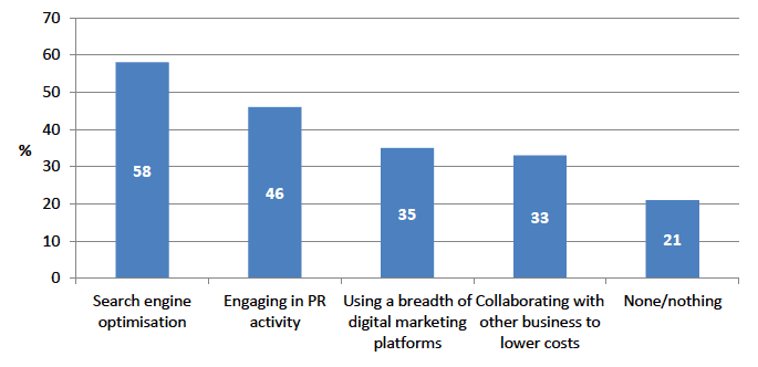 Figure 12: Steps being taken to maximise digital presence and support e-commerce activity (%)
