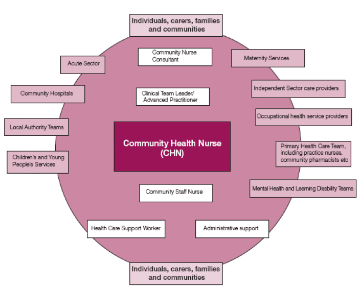 Figure 1.1 New Community Nurse Model