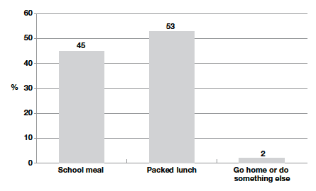 Figure 9-A Type of school lunch taken