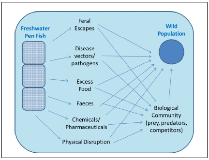 Figure 3: A schematic showing the basic pathways between the potential sources of impacts on wild populations in freshwater ecosystems