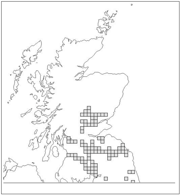 Figure 7: Distribution of grayling Thymallus thymallus in Scotland