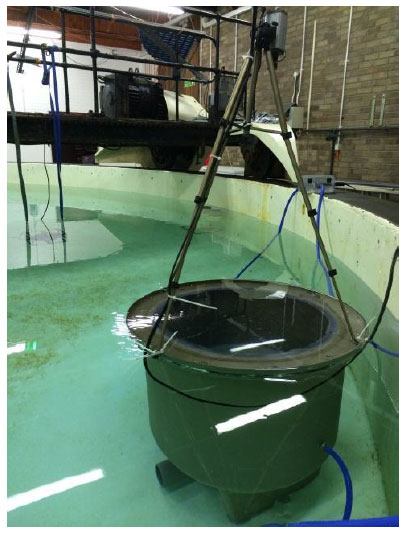 Respirometer in the annular tank with the HD megapixel camera positioned above the chamber to film the fish