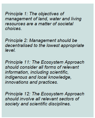 Figure 1: <em>Ecosystem Approach Principles</em>