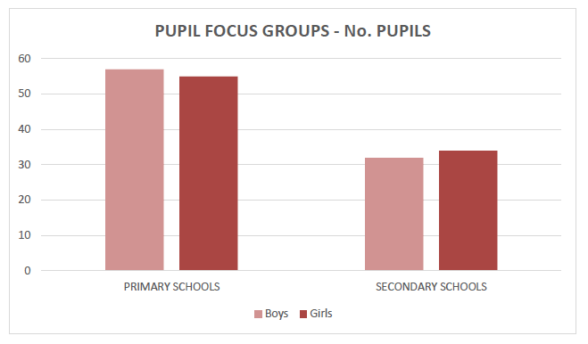 Figure B.1: Pupil Focus Groups