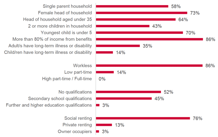 Socio-demographic characteristics of the ‘workless families’ 