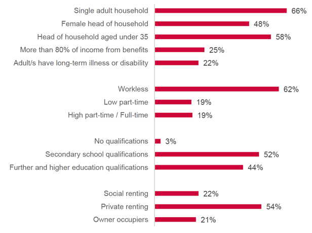 Socio-demographic characteristics of the ‘generation rent’ 