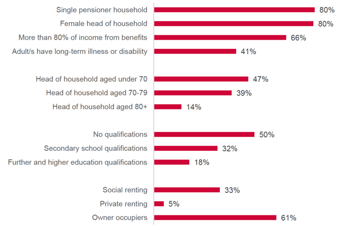 Socio-demographic characteristics of the ‘younger active singles’ 
