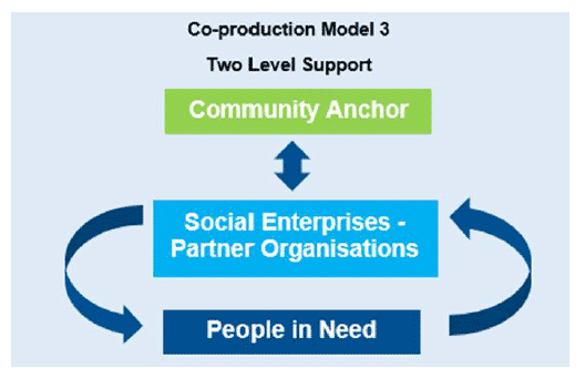 Co-production Model 3: Two Level Engagement