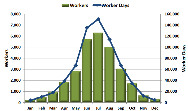 Figure 7: Seasonal migrant workers used and estimated work days on survey respondent’s farms