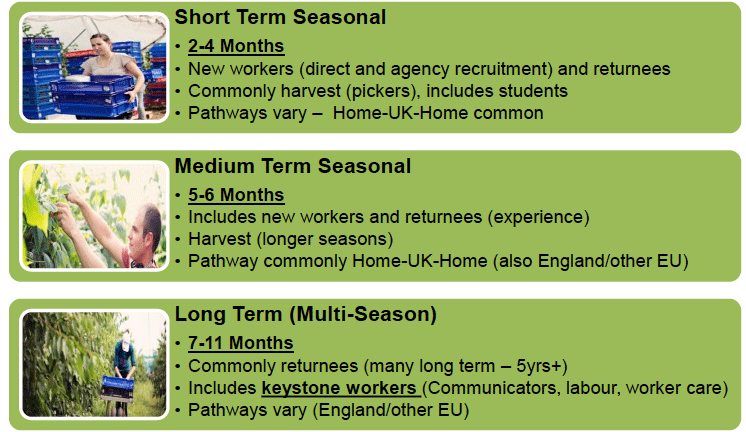 Figure 19: Typology of seasonal migrant workers in Scottish agriculture