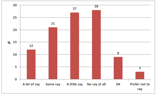 Figure 4.1 How much say young people have on what they learn