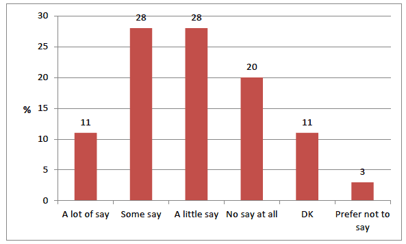 Figure 4.3 How much say young people have on how they learn