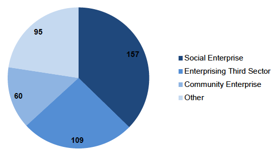Figure 3.1: Type of survey respondent organisation