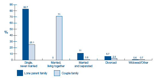 image of Figure 2-G Legal marital status by family type