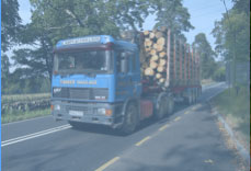 Log lorry Photo