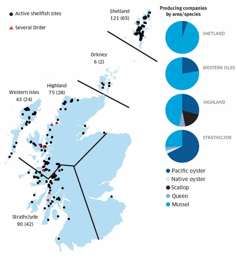 FIGURE 2 REGIONAL DISTRIBUTION OF ACTIVE SHELLFISH SITES IN 2011 (NUMBER PRODUCING GIVEN IN BRACKETS) AND NUMBER OF PRODUCING BUSINESSES BY AREA/SPECIES.