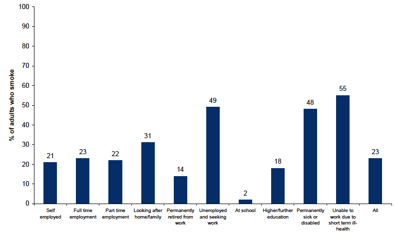 Figure 10.3: Percentage of respondents who smoke by economic status