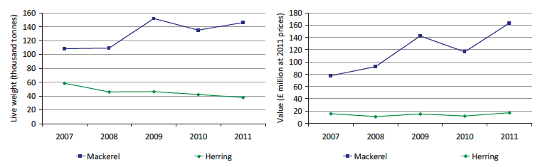 Chart 1.4.b Quantity and value of landings of the key pelagic species by Scottish vessels: 2007 to 2011.