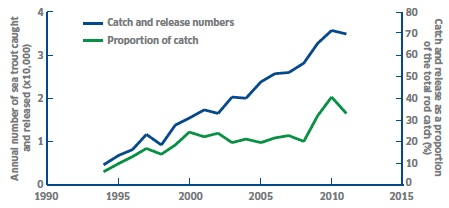 Figure 2 Catch and release, rod and line fishery.