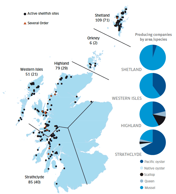 Figure 2: Regional distribution of active shellfish sites in 2012 (number producing given in brackets) and number of producing businesses by area/species.