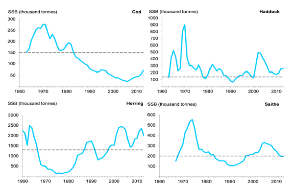 Selected Commercial Fish Stocks: 1960-2013