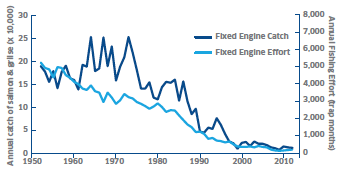 Figure 5 Fixed engine fishery