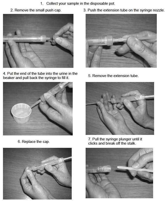 Urine sample syringe instructions
