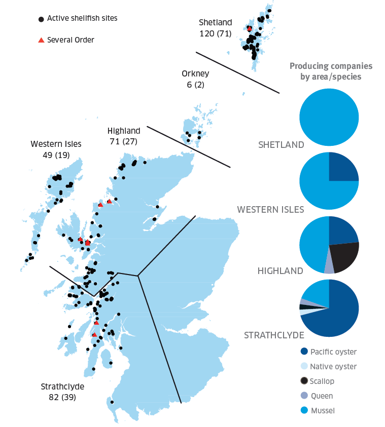 Figure 2 Regional Distribution of Active Shellfish Sites in 2013 (Number producing given in brackets) and Number of Producing Businesses by Area/Species
