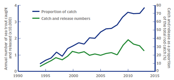 Figure 2: Catch and release, rod and line fishery.