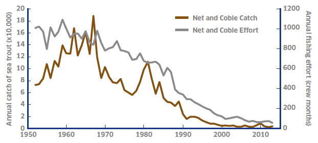 Figure 4: Net and coble fishery.