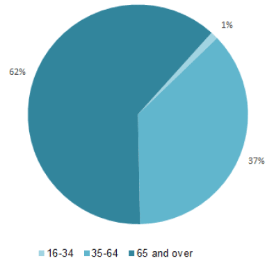 Chart 2 Demographics of respondents - Age (%)