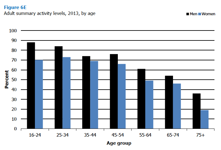 Figure 6E Adult summary activity levels, 2013, by age