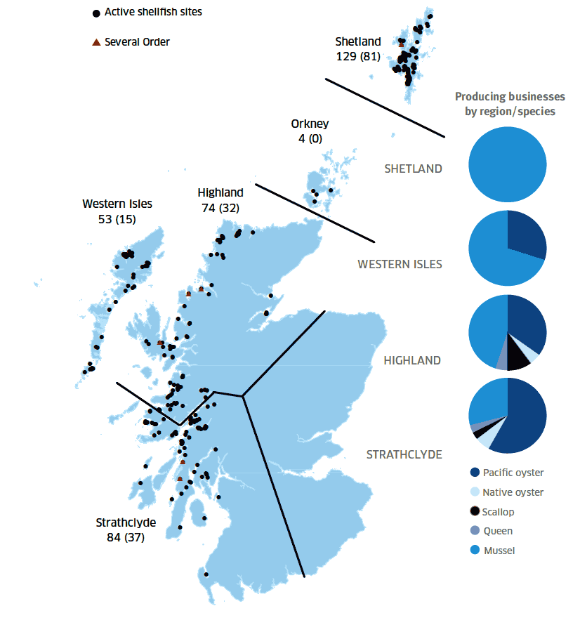 FIGURE 2 Regional distribution of active shellfish sites in 2014 (number producing given in brackets) and number of producing businesses by REGION/species