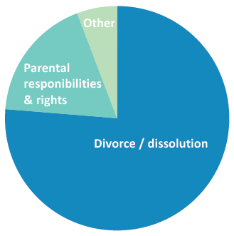 Figure 9: Family cases initiated in the civil courts, 2013-14