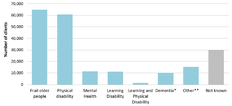Figure 6: Client Group of clients receiving Social Care services, 2015