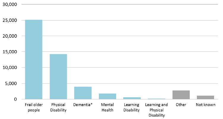 Figure 17: Home Care Clients aged 65+ by Client group and age group, 2015