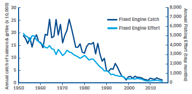 Figure 4 Fixed Engine Fishery