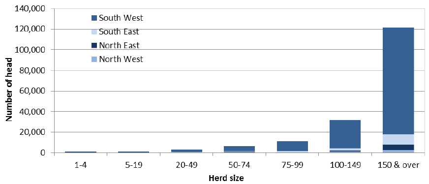 Chart 5.7: Dairy cows by region and herd-size group, June 2015