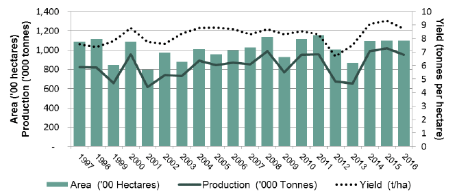 Chart 11 - Wheat: Area, Yield and Production