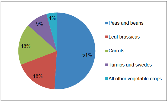 Figure 2 Vegetable crop areas 2015 (percentage of total area)