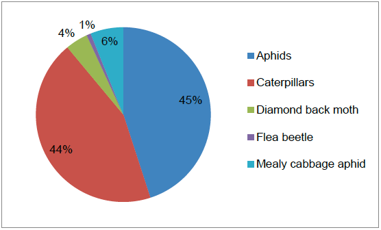 Figure 20 Reasons for use of insecticides on Brussels sprouts (where specified)