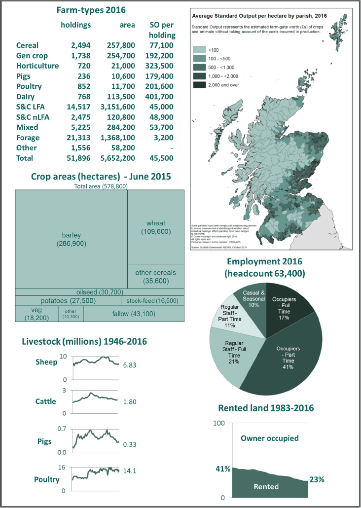Census 2016 Summary Graphic