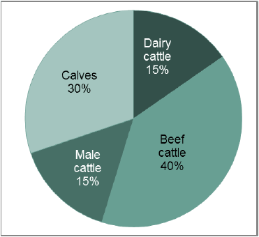 Chart 13: Cattle population, June 2016 