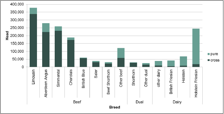 Chart 15: Cattle breeds, by use and whether pure-bred, June 2016 